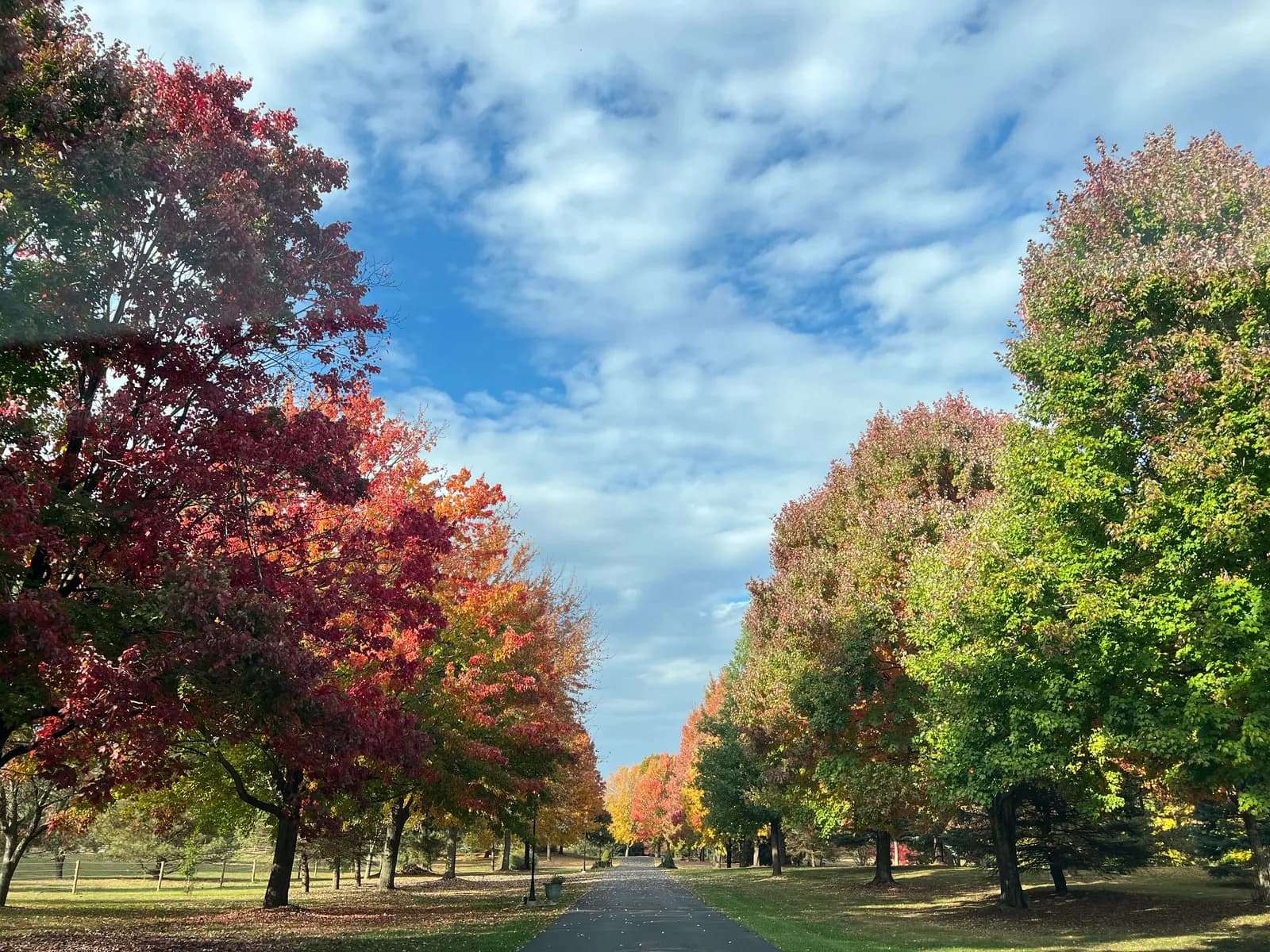 Fix the Food System, Fix the Country